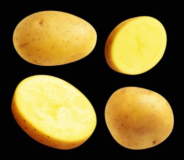 Patates, siyah arka planda kırpma yolu ile izole edilmiş, gölge yok, çiğ sebze, yemek malzemesi