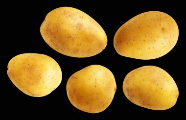Patates, siyah arka planda kırpma yolu ile izole edilmiş, gölge yok, çiğ sebze, yemek malzemesi