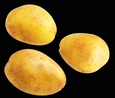 Patates, siyah arka planda kırpma yolu ile izole edilmiş, gölge yok, çiğ sebze, yemek malzemesi