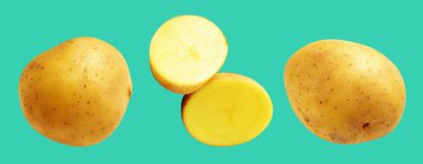 Patates, yeşil arka planda kırpma yolu ile izole edilmiş, gölge yok, çiğ sebze, yemek malzemesi