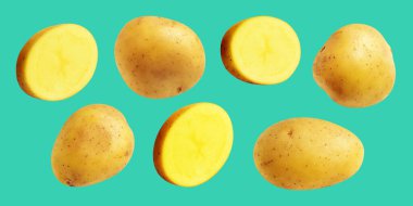 Patates, yeşil arka planda kırpma yolu ile izole edilmiş, gölge yok, çiğ sebze, yemek malzemesi