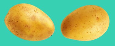 Patates, yeşil arka planda kırpma yolu ile izole edilmiş, gölge yok, çiğ sebze, yemek malzemesi