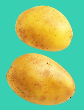 Patates, yeşil arka planda kırpma yolu ile izole edilmiş, gölge yok, çiğ sebze, yemek malzemesi