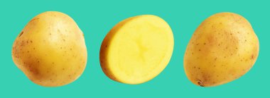 Patates, yeşil arka planda kırpma yolu ile izole edilmiş, gölge yok, çiğ sebze, yemek malzemesi