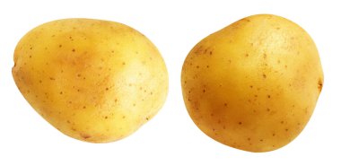 Beyaz arka planda kırpma yolu ile izole edilmiş patates, gölge yok, çiğ sebze, yemek malzemesi