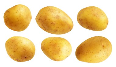 Beyaz arka planda kırpma yolu ile izole edilmiş patates, gölge yok, çiğ sebze, yemek malzemesi