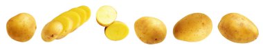Beyaz arka planda kırpma yolu ile izole edilmiş patates, gölge yok, çiğ sebze, yemek malzemesi