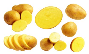 Beyaz arka planda kırpma yolu ile izole edilmiş patates, gölge yok, çiğ sebze, yemek malzemesi
