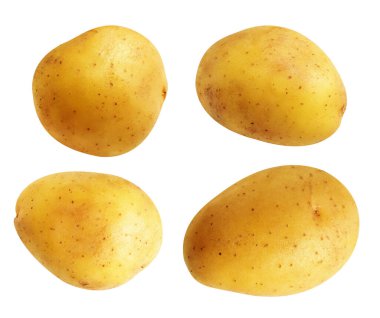 Beyaz arka planda kırpma yolu ile izole edilmiş patates, gölge yok, çiğ sebze, yemek malzemesi