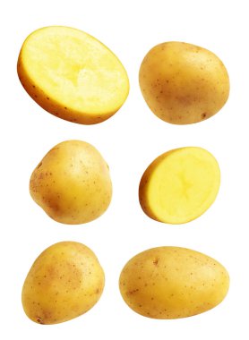 Beyaz arka planda kırpma yolu ile izole edilmiş patates, gölge yok, çiğ sebze, yemek malzemesi