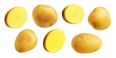 Beyaz arka planda kırpma yolu ile izole edilmiş patates, gölge yok, çiğ sebze, yemek malzemesi