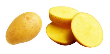 Beyaz arka planda kırpma yolu ile izole edilmiş patates, gölge yok, çiğ sebze, yemek malzemesi