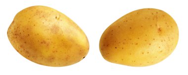 Beyaz arka planda kırpma yolu ile izole edilmiş patates, gölge yok, çiğ sebze, yemek malzemesi