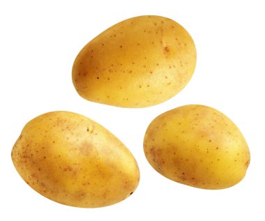 Beyaz arka planda kırpma yolu ile izole edilmiş patates, gölge yok, çiğ sebze, yemek malzemesi