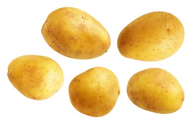 Beyaz arka planda kırpma yolu ile izole edilmiş patates, gölge yok, çiğ sebze, yemek malzemesi
