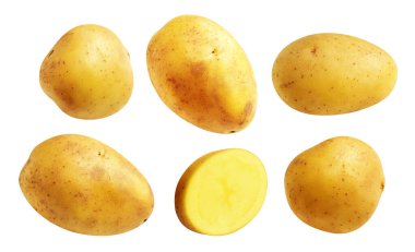 Beyaz arka planda kırpma yolu ile izole edilmiş patates, gölge yok, çiğ sebze, yemek malzemesi
