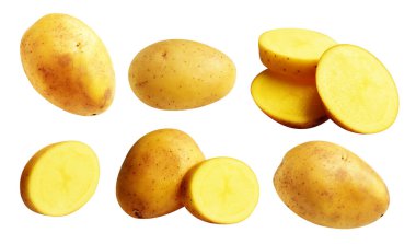 Beyaz arka planda kırpma yolu ile izole edilmiş patates, gölge yok, çiğ sebze, yemek malzemesi