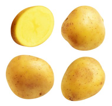 Beyaz arka planda kırpma yolu ile izole edilmiş patates, gölge yok, çiğ sebze, yemek malzemesi