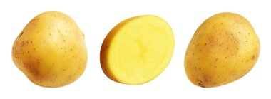 Beyaz arka planda kırpma yolu ile izole edilmiş patates, gölge yok, çiğ sebze, yemek malzemesi