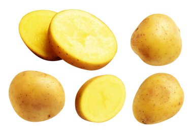 Beyaz arka planda kırpma yolu ile izole edilmiş patates, gölge yok, çiğ sebze, yemek malzemesi