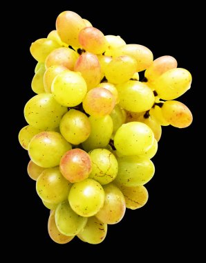 Bir demet yakut yeşili üzüm izole edilmiş, siyah arka planda kırpma izi yok, sağlıklı taze meyve