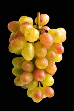 Bir demet yakut yeşili üzüm izole edilmiş, siyah arka planda kırpma izi yok, sağlıklı taze meyve