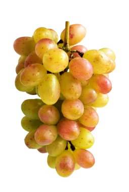 Bir demet yakut yeşili üzüm izole edilmiş, beyaz arka planda kırpma izi yok, sağlıklı taze meyve