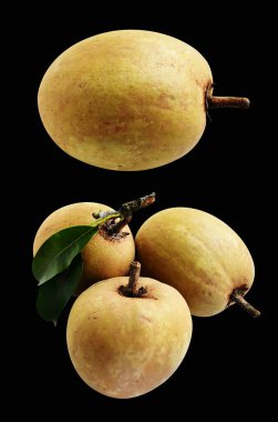 Sapodilla siyah arka planda kesme yolu olan hiçbir gölge izole etmedi, sağlıklı taze tropikal meyve.