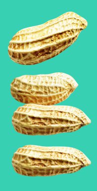 Kesme yolu ile izole edilmiş fıstıklar, yeşil arka planda gölge yok, yemek malzemeleri, sağlıklı yiyecekler.