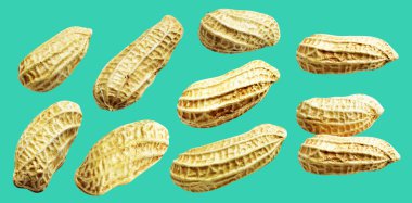 Kesme yolu ile izole edilmiş fıstıklar, yeşil arka planda gölge yok, yemek malzemeleri, sağlıklı yiyecekler.