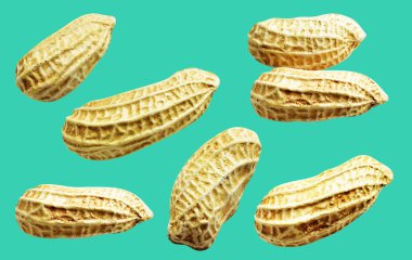 Kesme yolu ile izole edilmiş fıstıklar, yeşil arka planda gölge yok, yemek malzemeleri, sağlıklı yiyecekler.