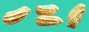 Kesme yolu ile izole edilmiş fıstıklar, yeşil arka planda gölge yok, yemek malzemeleri, sağlıklı yiyecekler.