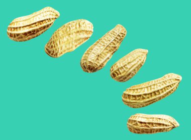 Kesme yolu ile izole edilmiş fıstıklar, yeşil arka planda gölge yok, yemek malzemeleri, sağlıklı yiyecekler.