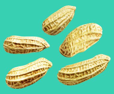 Kesme yolu ile izole edilmiş fıstıklar, yeşil arka planda gölge yok, yemek malzemeleri, sağlıklı yiyecekler.