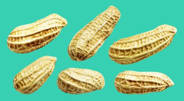 Kesme yolu ile izole edilmiş fıstıklar, yeşil arka planda gölge yok, yemek malzemeleri, sağlıklı yiyecekler.