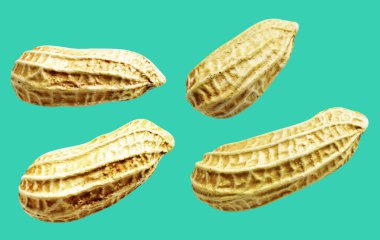 Kesme yolu ile izole edilmiş fıstıklar, yeşil arka planda gölge yok, yemek malzemeleri, sağlıklı yiyecekler.