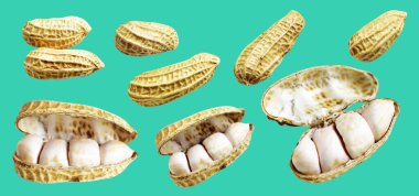 Kesme yolu ile izole edilmiş fıstıklar, yeşil arka planda gölge yok, yemek malzemeleri, sağlıklı yiyecekler.