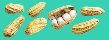 Kesme yolu ile izole edilmiş fıstıklar, yeşil arka planda gölge yok, yemek malzemeleri, sağlıklı yiyecekler.