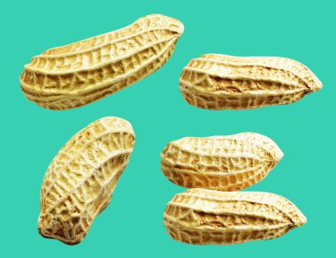 Kesme yolu ile izole edilmiş fıstıklar, yeşil arka planda gölge yok, yemek malzemeleri, sağlıklı yiyecekler.