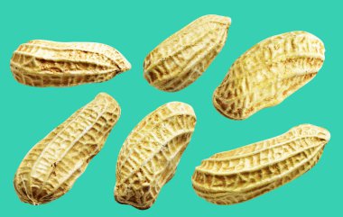 Kesme yolu ile izole edilmiş fıstıklar, yeşil arka planda gölge yok, yemek malzemeleri, sağlıklı yiyecekler.