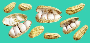 Kesme yolu ile izole edilmiş fıstıklar, yeşil arka planda gölge yok, yemek malzemeleri, sağlıklı yiyecekler.