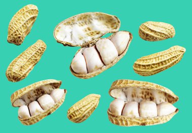 Kesme yolu ile izole edilmiş fıstıklar, yeşil arka planda gölge yok, yemek malzemeleri, sağlıklı yiyecekler.