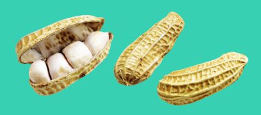 Kesme yolu ile izole edilmiş fıstıklar, yeşil arka planda gölge yok, yemek malzemeleri, sağlıklı yiyecekler.