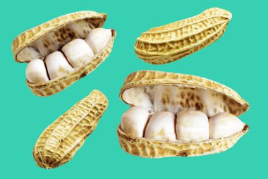 Kesme yolu ile izole edilmiş fıstıklar, yeşil arka planda gölge yok, yemek malzemeleri, sağlıklı yiyecekler.