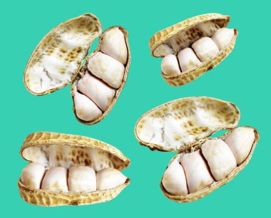 Kesme yolu ile izole edilmiş fıstıklar, yeşil arka planda gölge yok, yemek malzemeleri, sağlıklı yiyecekler.