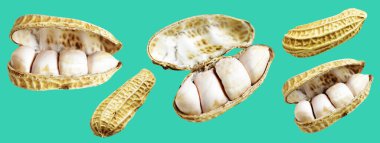 Kesme yolu ile izole edilmiş fıstıklar, yeşil arka planda gölge yok, yemek malzemeleri, sağlıklı yiyecekler.