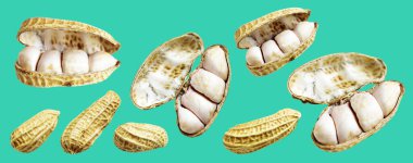 Kesme yolu ile izole edilmiş fıstıklar, yeşil arka planda gölge yok, yemek malzemeleri, sağlıklı yiyecekler.