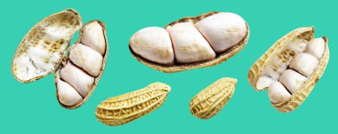 Kesme yolu ile izole edilmiş fıstıklar, yeşil arka planda gölge yok, yemek malzemeleri, sağlıklı yiyecekler.