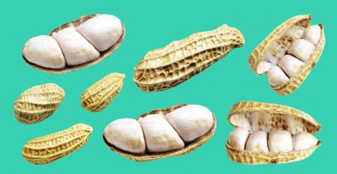 Kesme yolu ile izole edilmiş fıstıklar, yeşil arka planda gölge yok, yemek malzemeleri, sağlıklı yiyecekler.