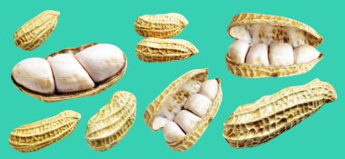 Kesme yolu ile izole edilmiş fıstıklar, yeşil arka planda gölge yok, yemek malzemeleri, sağlıklı yiyecekler.